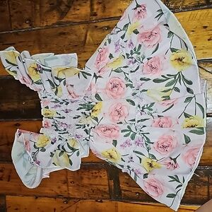 Beautiful floral babygirls dress (18mo)